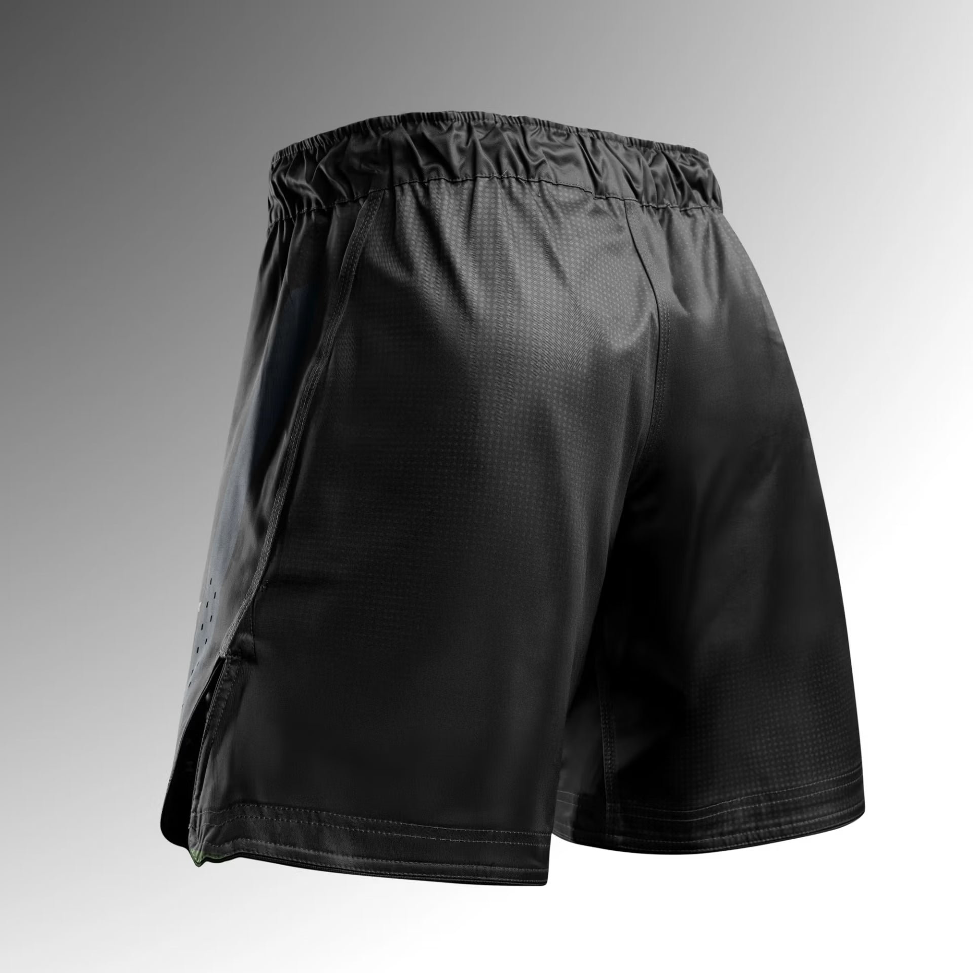 Hayabusa Core kampshorts til herre (full lengde)